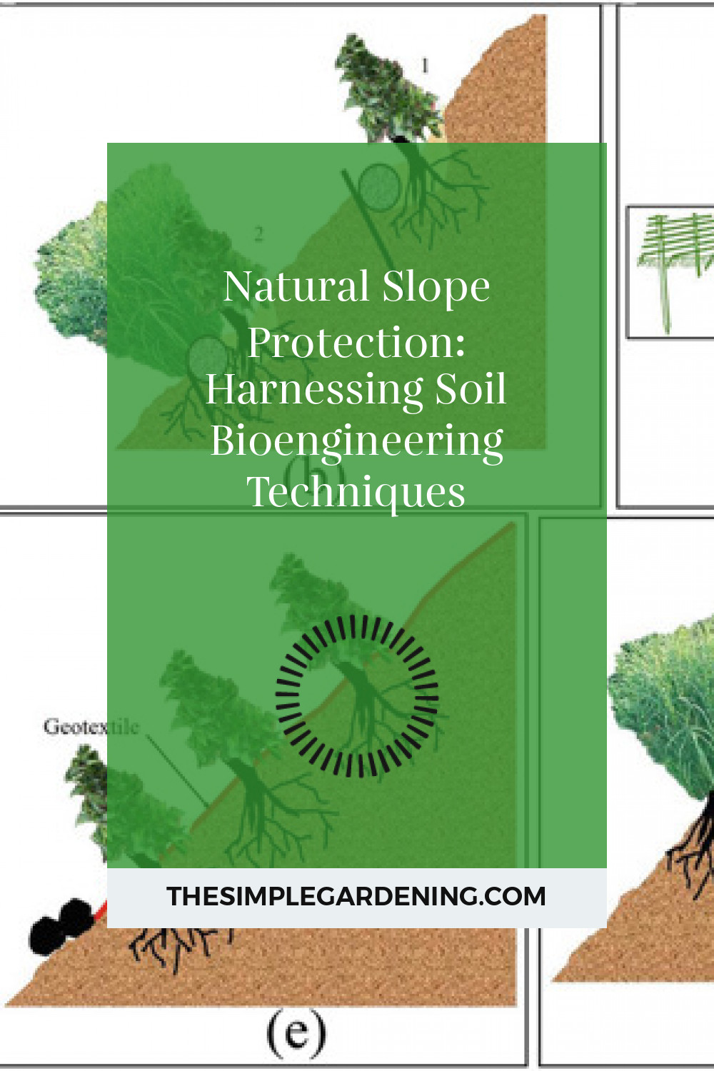 Natural Slope Protection: Harnessing Soil Bioengineering Techniques